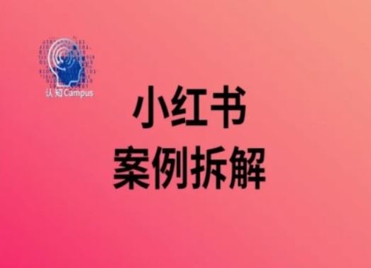 小红书案例拆解，深度解读小红书40万粉-徐小晨博客