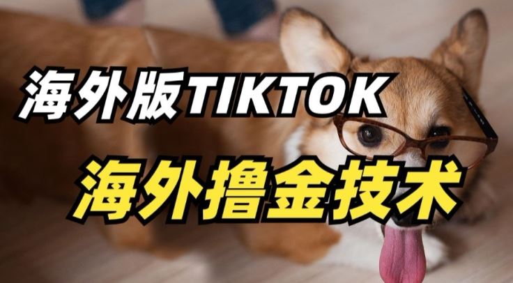 抖音海外版tiktok撸金技术，这个风口行业，赚钱真的不难【揭秘】-徐小晨博客