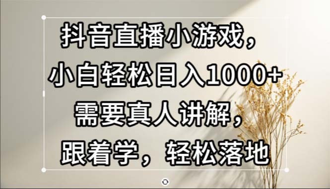 抖音直播小游戏，小白轻松日入1000+需要真人讲解，跟着学，轻松落地-徐小晨博客