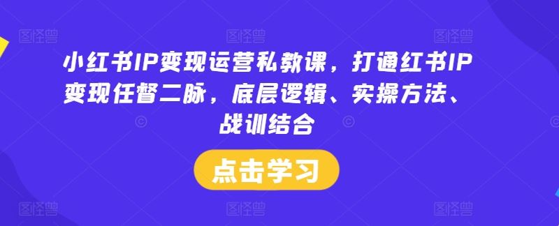 小红书IP变现运营私教课，打通红书IP变现任督二脉，底层逻辑、实操方法、战训结合-徐小晨博客