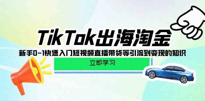 TikTok-出海淘金，新手0-1快速入门短视频直播带货等引流到变现的知识-徐小晨博客