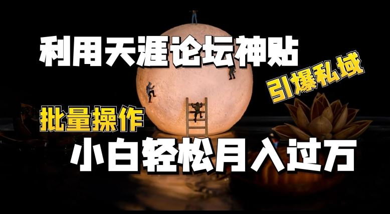 利用天涯论坛神贴，引爆私域，批量操作，小白轻松月入过w【揭秘】-徐小晨博客