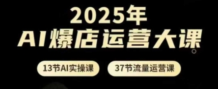 2025年AI爆店运营大课，13节AI实操课+37节流量运营课-徐小晨博客