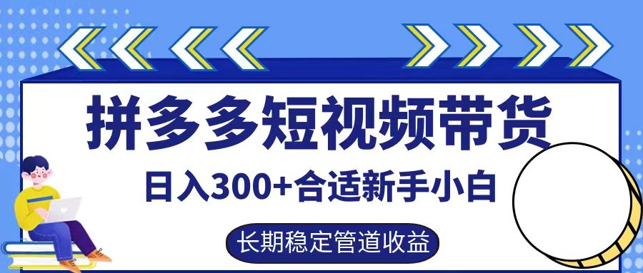 拼多多短视频带货日入300+，实操账户展示看就能学会-徐小晨博客