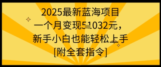 2025最新蓝海项目一个月变现1w+新手小白也能轻松上手【附全套指令】-徐小晨博客