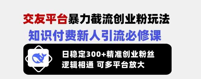交友平台暴力截流创业粉玩法，知识付费新人引流必修课，日稳定300+精准创业粉丝，逻辑相通可多平台放大-徐小晨博客