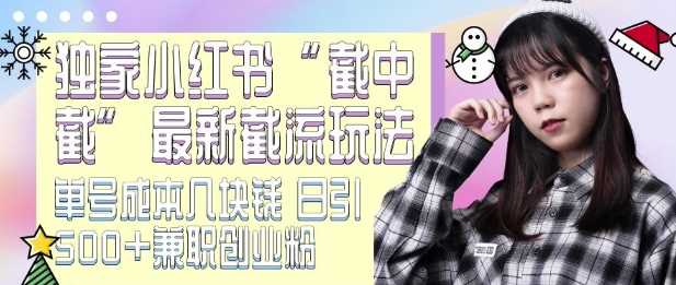 最新小红书截流玩法 独家截中截 单号成本几块钱 日引500+CY粉JZ粉-徐小晨博客