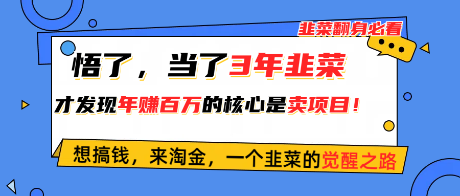 悟了，当了3年韭菜，才发现网赚圈年赚100万的核心是卖项目，含泪分享！-徐小晨博客
