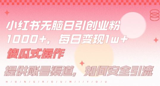 小红书无脑每日引流创业粉500+，小白每天只花半小时，躺赚长尾收益【揭秘】-徐小晨博客