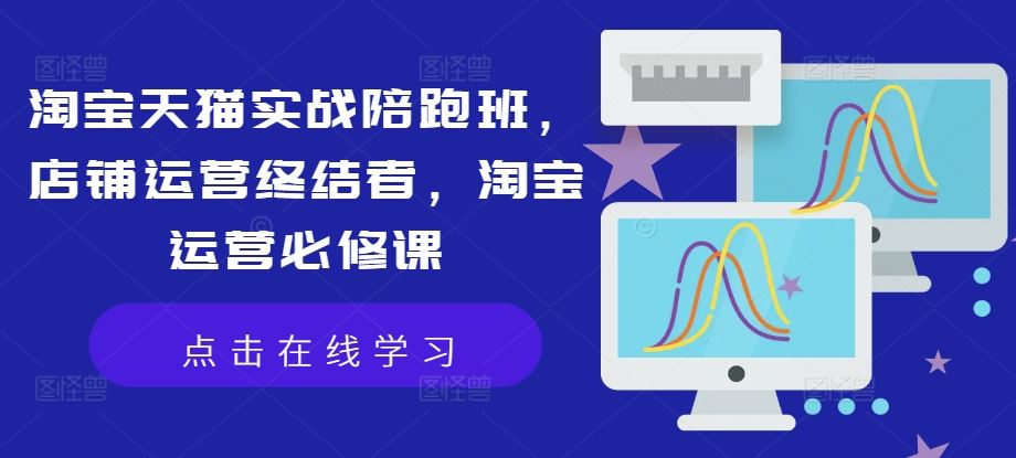 淘宝天猫实战陪跑班，店铺运营终结者，淘宝运营必修课-徐小晨博客