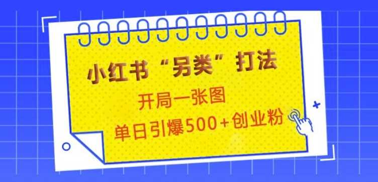 小红书“另类”打法，开局一张图，单日引爆500+精准创业粉【揭秘】-徐小晨博客