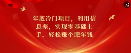 年底冷门项目，利用信息差，实现零基础上手，轻松赚个肥年钱【揭秘】-徐小晨博客