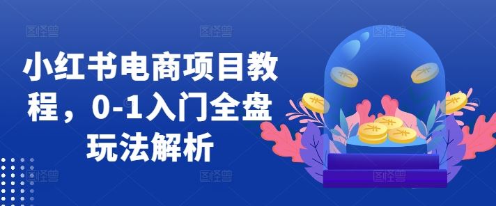 小红书电商项目教程，0-1入门全盘玩法解析-徐小晨博客