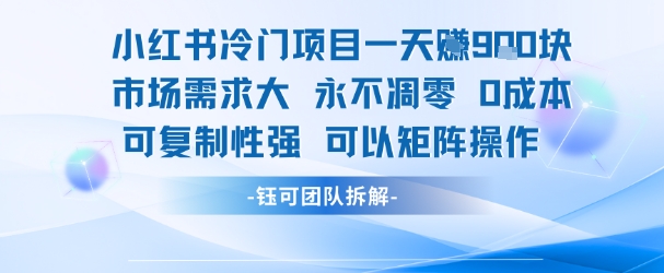 小红书冷门项目一天收益9张，市场需求大，0成本，可复制性强可以矩阵操作-徐小晨博客
