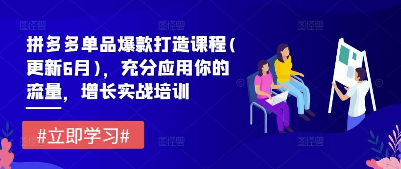 拼多多单品爆款打造课程(更新6月)，充分应用你的流量，增长实战培训-徐小晨博客