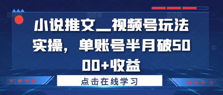 小说推文—视频号玩法实操，单账号半月破5000+收益-徐小晨博客