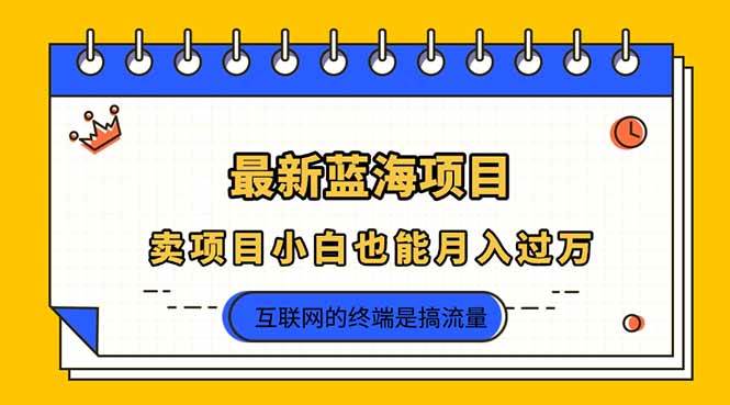 2025年最新蓝海项目，卖项目小白也能月入过万-徐小晨博客