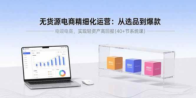 无货源电商精细化运营：从选品到爆款，实现轻资产高回报(40+节系统课)-徐小晨博客