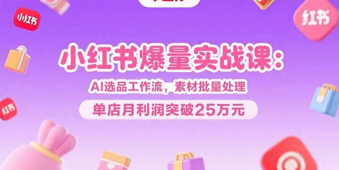 小红书爆量实战课：AI选品工作流，素材批量处理，单店月利润突破25万元-徐小晨博客