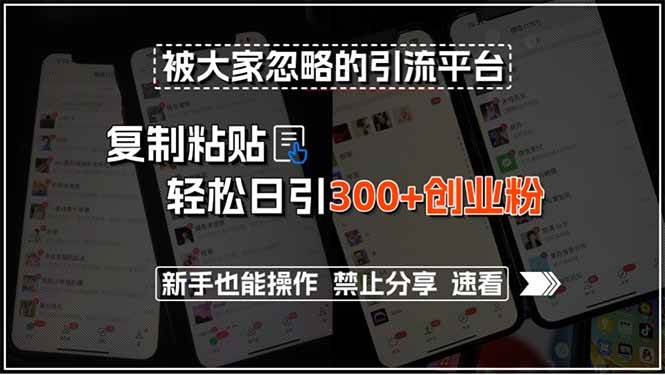 被大家忽略的引流平台，复制粘贴轻松日引300+创业粉，新手也能操作，禁…-徐小晨博客
