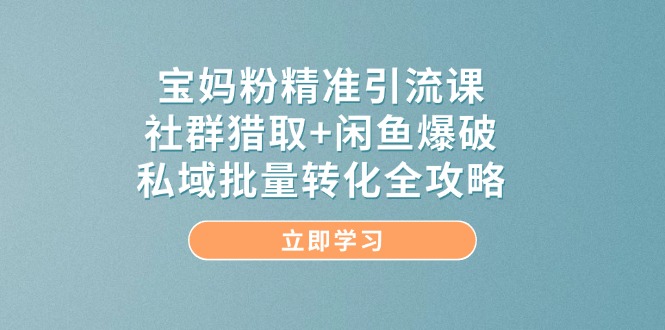 宝妈粉精准引流课，社群猎取+闲鱼爆破，私域批量转化全攻略-徐小晨博客