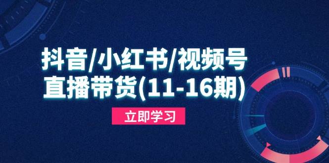抖音/小红书/视频号/直播带货(11-16期)，快速掌握平台规则，打造爆款内容-徐小晨博客
