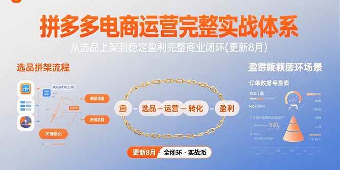 拼多多电商运营完整实战体系，从选品上架到稳定盈利完整商业闭环(更新8月-徐小晨博客