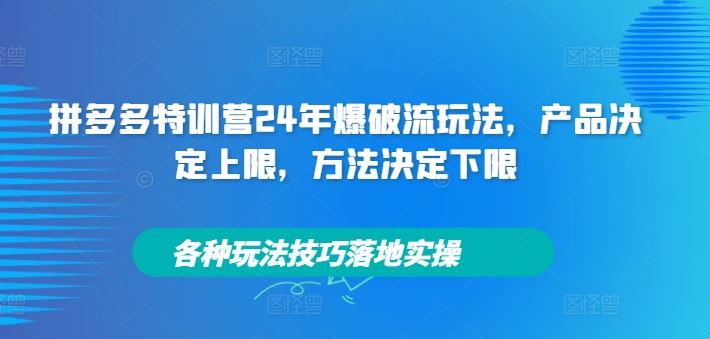 拼多多特训营24年爆破流玩法，产品决定上限，方法决定下限，各种玩法技巧落地实操-徐小晨博客