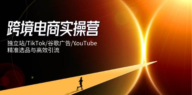 跨境电商实操营：独立站/TikTok/谷歌广告/YouTube，精准选品与高效引流-徐小晨博客