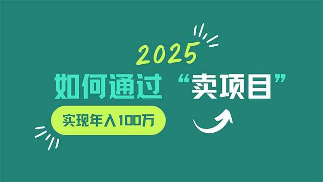 2025年如何通过“卖项目”实现年入100万-徐小晨博客