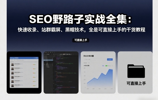 SEO实战全集，收录霸屏黑帽技术，提供可上手的干货教程-徐小晨博客