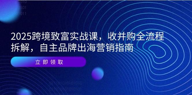 2025跨境致富实战课，收并购全流程拆解，自主品牌出海营销指南-徐小晨博客
