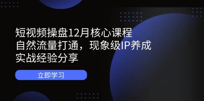 短视频操盘12月核心课程：自然流量打通，现象级IP养成，实战经验分享-徐小晨博客