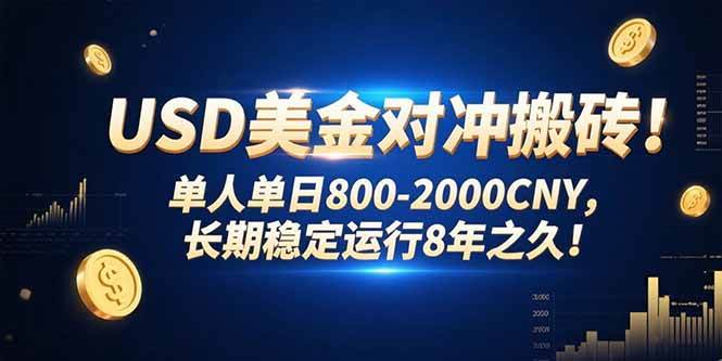 USD美金对冲搬砖!单人单日800-2000CNY，长期稳定运行8年之久!-徐小晨博客