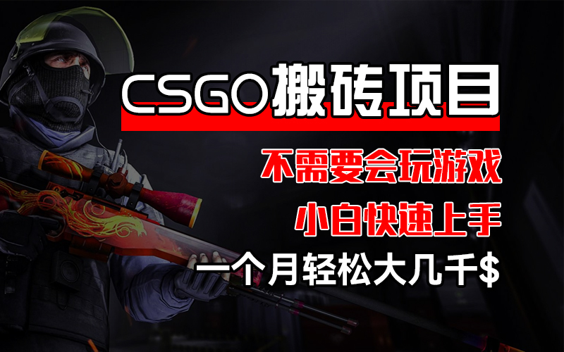 CSGO 装备搬砖项目，操作简单，不需要会玩游戏，小白也能快速上手，一…-徐小晨博客