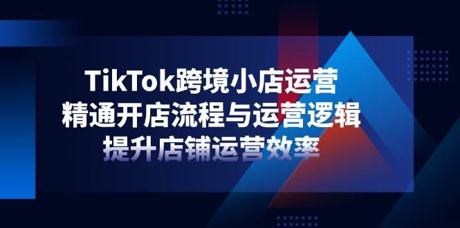 TikTok跨境小店运营，精通开店流程与运营逻辑，提升店铺运营效率-徐小晨博客