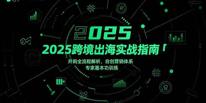 2025跨境出海实战指南，并购全流程解析，自创营销体系，专家基本功训练-徐小晨博客