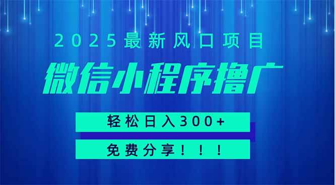 微信小程序撸广，最新风口项目，日入300+ 免费分享 可批量操作 小白可…-徐小晨博客