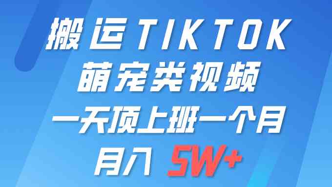 图片[1]-一键搬运TIKTOK萌宠类视频 一部手机即可操作 所有平台均可发布 轻松月入5W+-徐小晨博客