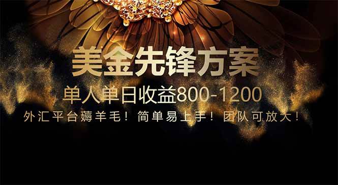 免费技术！小众赛道！一年布局抵三年努力，每日800+-徐小晨博客