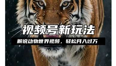 利用动物世界解说视频，赚分成计划收益，轻松月入过W，操作简单【揭秘】-徐小晨博客