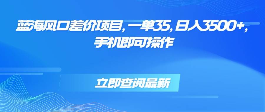 蓝海风口差价项目，一单35，日入3500+，手机即可操作-徐小晨博客