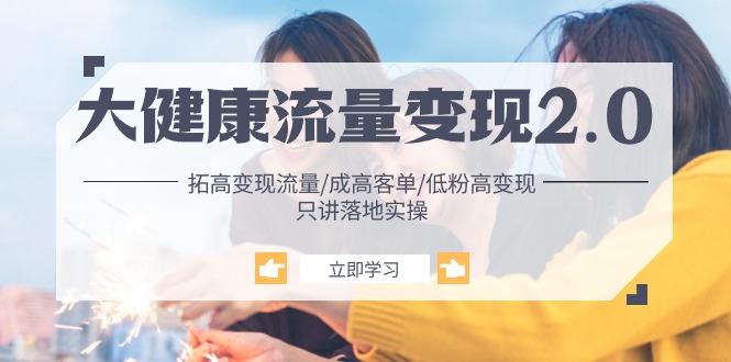 图片[1]-大健康 流量 变现2.0：拓高变现 流量/成高客单/低粉高变现/只讲落地实战-徐小晨博客