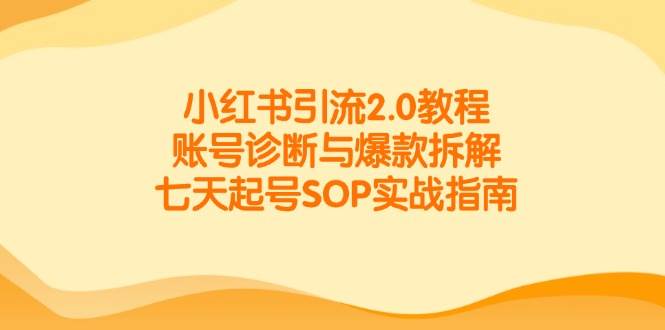 小红书引流2.0教程，账号诊断与爆款拆解，七天起号SOP实战指南-徐小晨博客