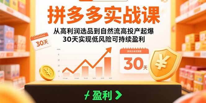 拼多多实战课：从高利润选品到自然流高投产起爆 30天实现低风险可持续盈利-徐小晨博客
