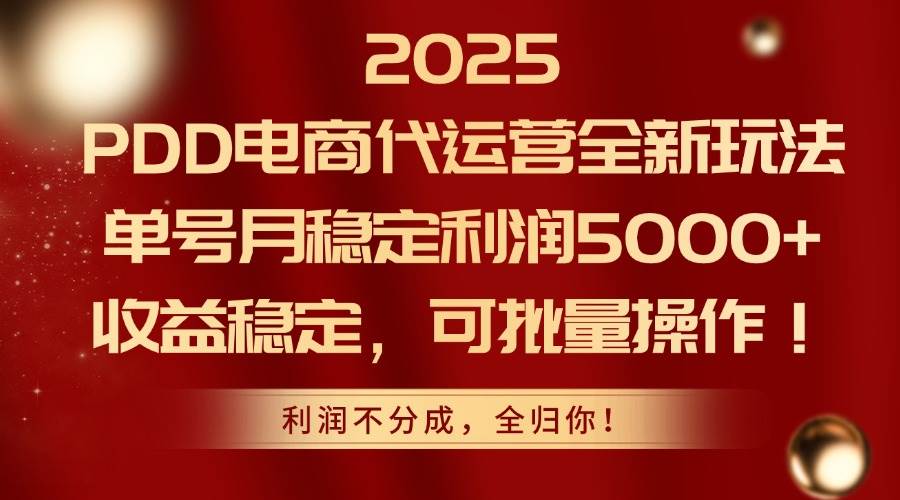 2025PDD电商代运营全新玩法，单号月稳定利润5000+，收益稳定，可批量操作-徐小晨博客