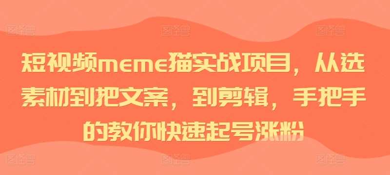 短视频meme猫实战项目，从选素材到把文案，到剪辑，手把手的教你快速起号涨粉-徐小晨博客