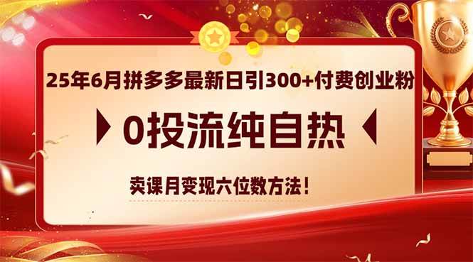25年6月拼多多最新日引300+付费创业粉,0投流纯自热 卖课月变现六位数方法-徐小晨博客