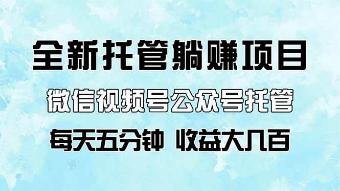 全新托管躺赚项目，微信视频号公众号托管代运营，每天五分钟，收益大几百-徐小晨博客