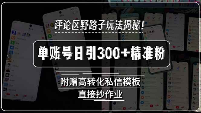 评论区野路子玩法揭秘！单账号日引300+精准粉，附赠高转化私信模板，直…-徐小晨博客